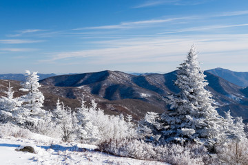 A winter wonderland in the Roan Highlands along the Appalachian Trail on the Border of Tennessee and North Carolina. - 134170413
