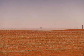 Fototapeta premium Dust storm in outback Australia on rural farm with crops in paddock in Mallee