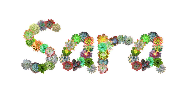 Sara Succulent Name