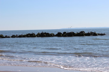 beautiful sea shore view in the morning