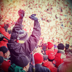 Fan celebrating in the stands at an american football game. Inst © soupstock