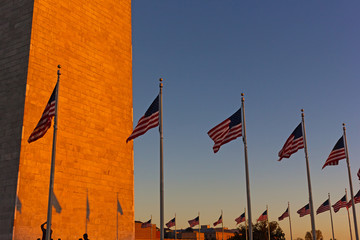 Fototapeta na wymiar American flags stand in US capital at sunset. Sunset in Washington DC and National Monument with national flags.
