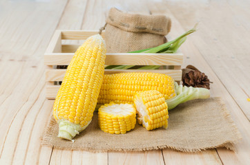 Close up shot fresh nature corn