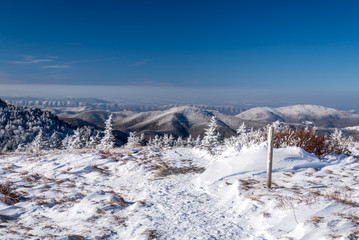 The frigid climate along the Appalachian Trail on top of Round Bald in the Blue Ridge Mountains.  - 134171890