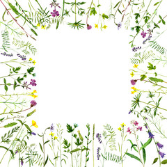 Obraz premium Watercolor drawing plants