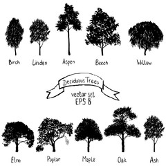 Naklejka premium vector set of deciduous trees