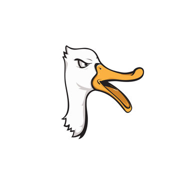 head duck