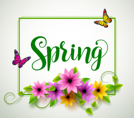 Spring vector typography with colorful flowers, leaves, vines and butterflies in a boarder with white background. Vector illustration.

