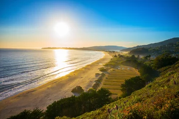 Poster Sunset over Stinson Beach just north of San Francisco, California, USA.  Spring flowers in the foreground. © Lynn Yeh