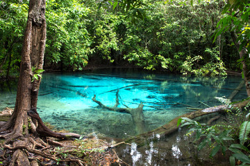 Thailand, Krabi, Emerald Pool in the rainforest