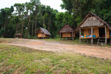 Fototapeta na wymiar Wood hut in rice field countryside in Pang Nga, Thailand