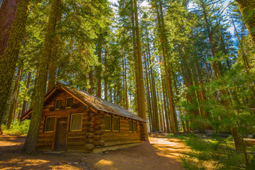Cabin in the Woods, Yosemite National Park, California, USA.  Mariposa Grove, sequoia trees. - 134173869