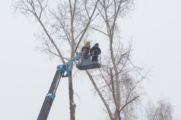 Omsk, Russia - January 21, 2017: Pruning of trees