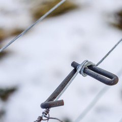 Drahtspanner im Weingarten