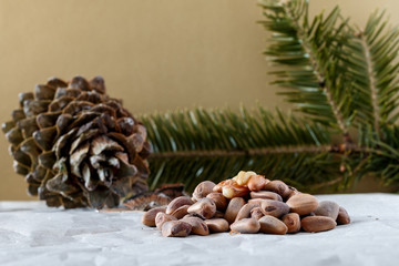 Cedar cones with nuts