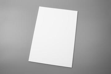 Blank portrait A4. brochure magazine isolated on gray, changeable background / white paper isolated...
