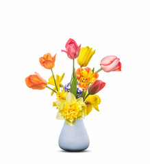 The tulips in a vase are isolated on a white background