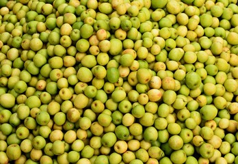 Green Jujube pile  for background and other.