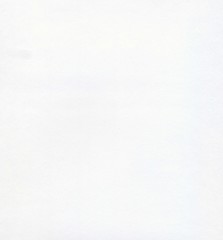 White Paper Texture