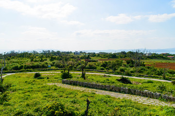 Fototapeta na wymiar Okinawa Kouri Island View