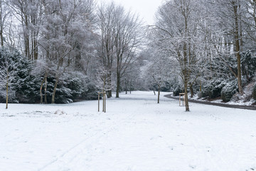 Fototapeta premium Winterlandschaft, Park mit Schnee bedeckt