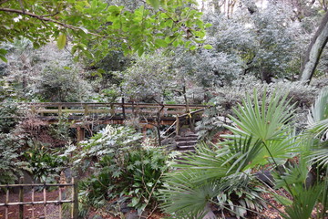 名主の滝公園 階段
