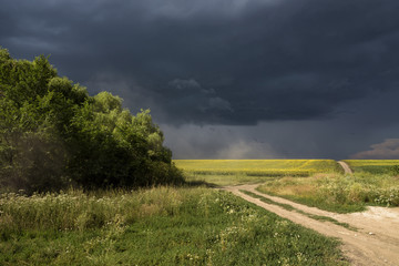 Summer thunderstorm in the field