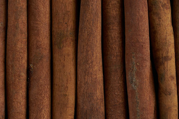 Cinnamon sticks. Close up shot