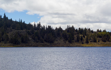 lake and forest