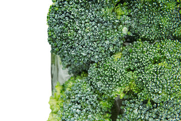 Border of wet fresh green broccoli with water drops closeup on white background. Isolated. Healthy vitamin food.