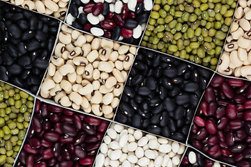 Kidney beans background, different kind haricot - red, black, white, mung  in square cells closeup top view. Healthy protein food.