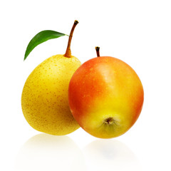 Apple and pear isolated on white background