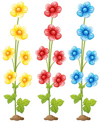 Flowers in three colors