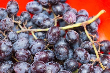 Dark grapes, Isolated on white background