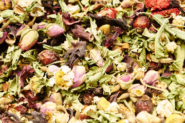 Assembly with wild roses and buds roses closeup