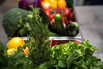 Fresh greens in metal bowl on professional kitchen. Selective fo