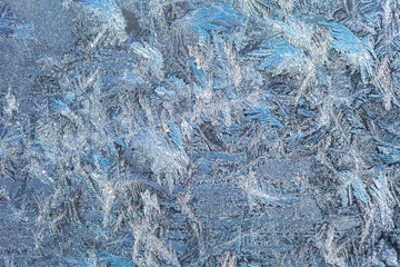 Beautiful nature pattern on frosted glass. Selective focus