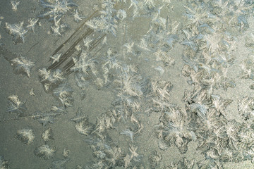 Beautiful nature pattern on frosted glass. Selective focus. Tone