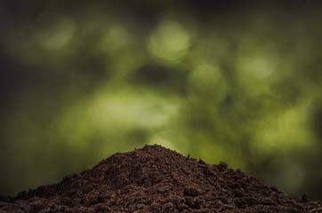 Planting a small plant on a pile of soil on green bokeh backgroud. Gardening backdrop for advertising.
