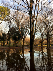 Obraz premium 冬の公園