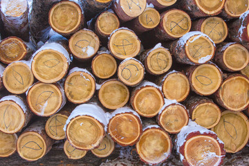 Background of firewood stacked in the cut wood, timber, firewood