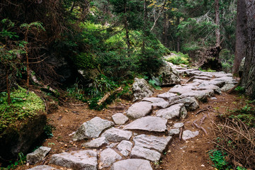 Stone trekking path in Studena dolina, Tatra Mountains, Slovakia