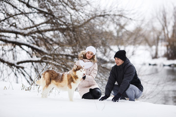A young pregnant couple walking in the woods with the dog red Husky.