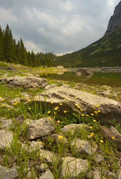 Mountain Lake with Yellow Flowers on Foreground