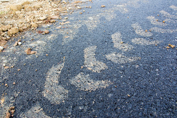 Grader's tire print on a tarmac road with some wet dirt on the side