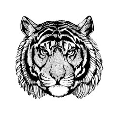 Vector tiger for tattoo, sport logo, t-shirt, poster