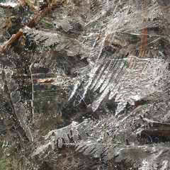 Ghiaccio. Fuoco selettivo