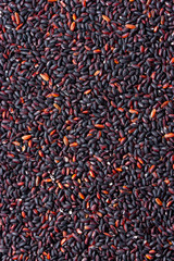The grains of black rice background
