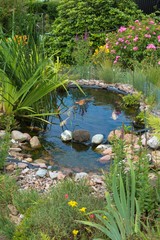 Gartenteich im Sommer