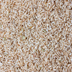 Grain brown rice background, square